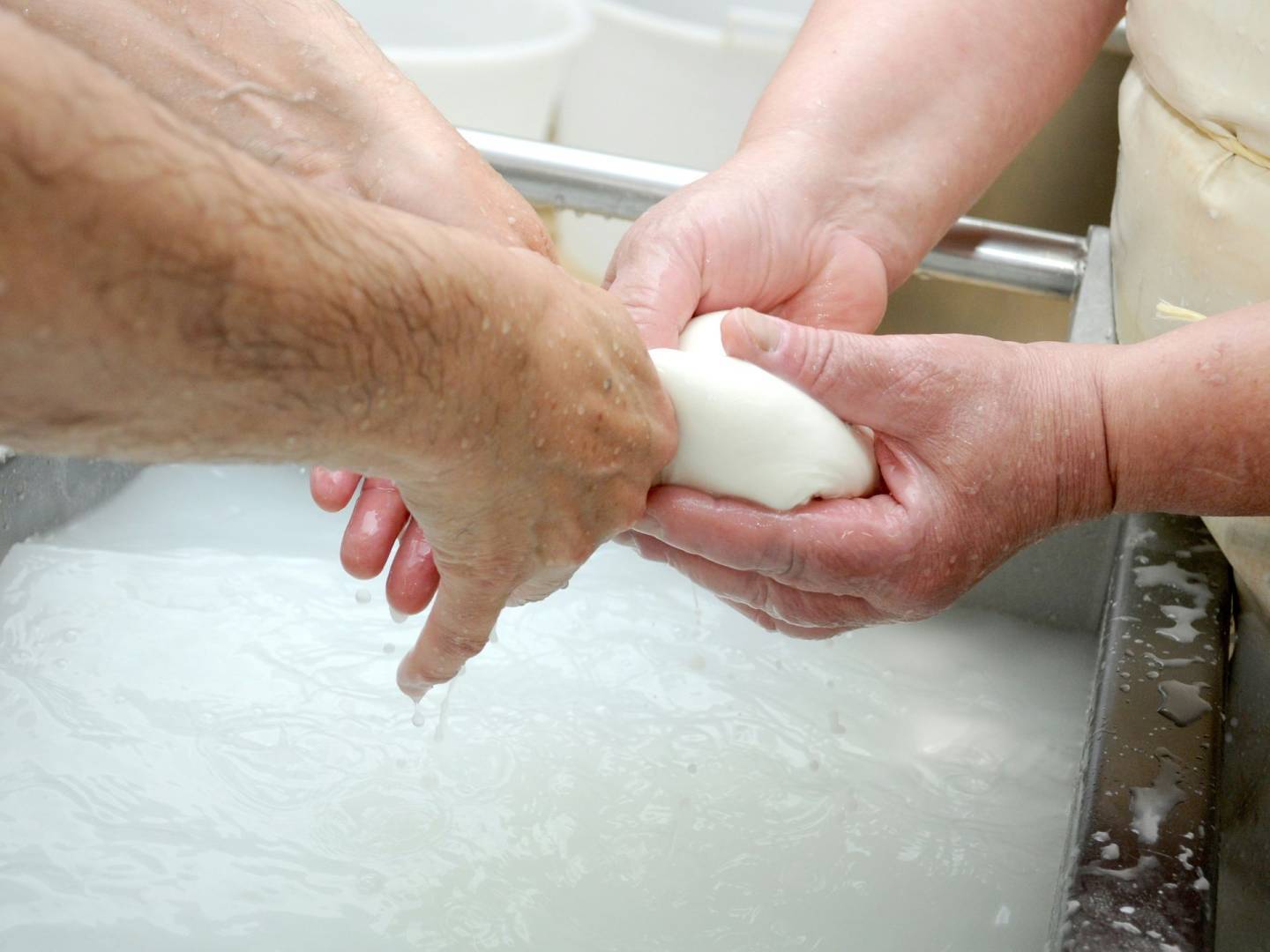 Mozzarella asciutta in un attimo: trucchi facili e veloci!