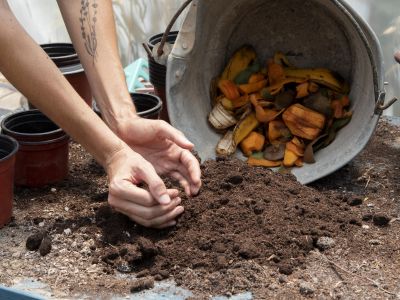 Questi 5 alimenti non vanno mai messi nella compostiera