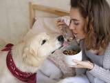 8 alimenti che non dovete assolutamente dare al vostro cane!