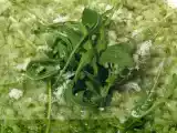 Ricetta Risotto al pesto di rucola!