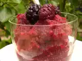Ricetta Tempo di granite un must catanese: granita di gelsi neri