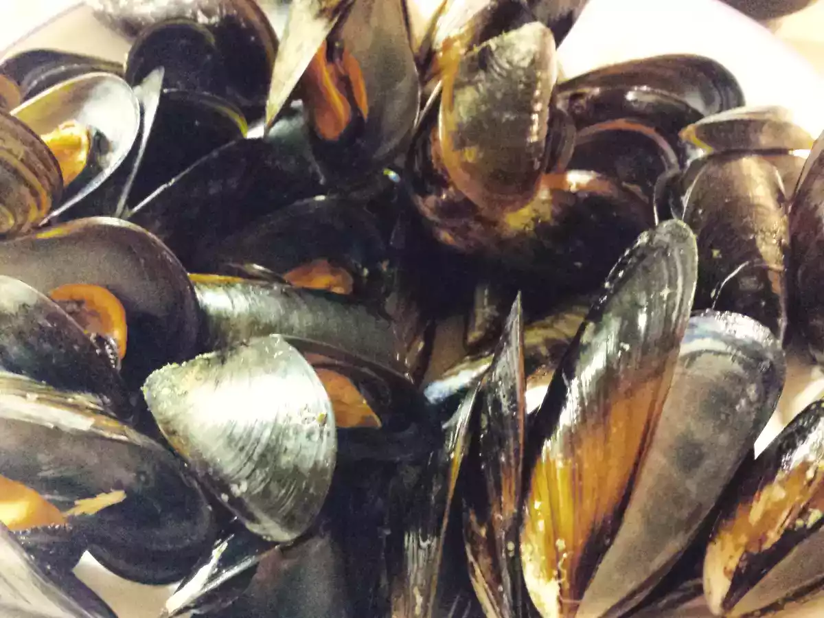 Caccavelle al sugo di Vongole e Cozze del Conero ( Moscioli ) - foto 3