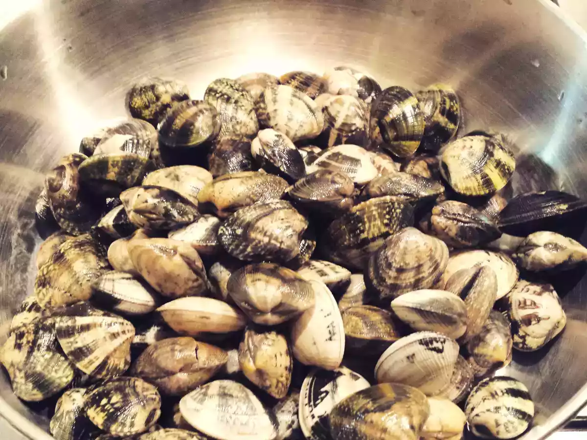 Caccavelle al sugo di Vongole e Cozze del Conero ( Moscioli ) - foto 5