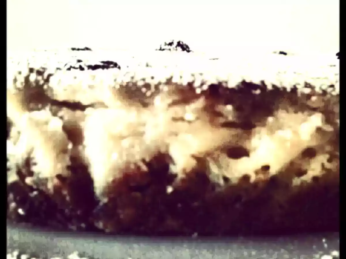 COCONUT MILK ..... FAVA TONKA CHEESECAKE - foto 2