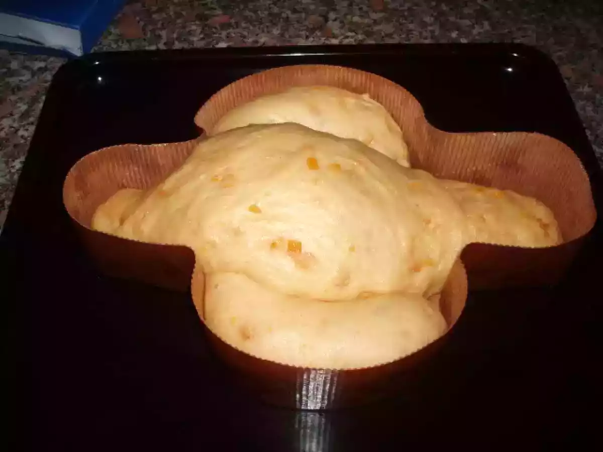 Colomba a lievitazione naturale delle sorelle Simili adattata al TM31 da miriam - foto 7