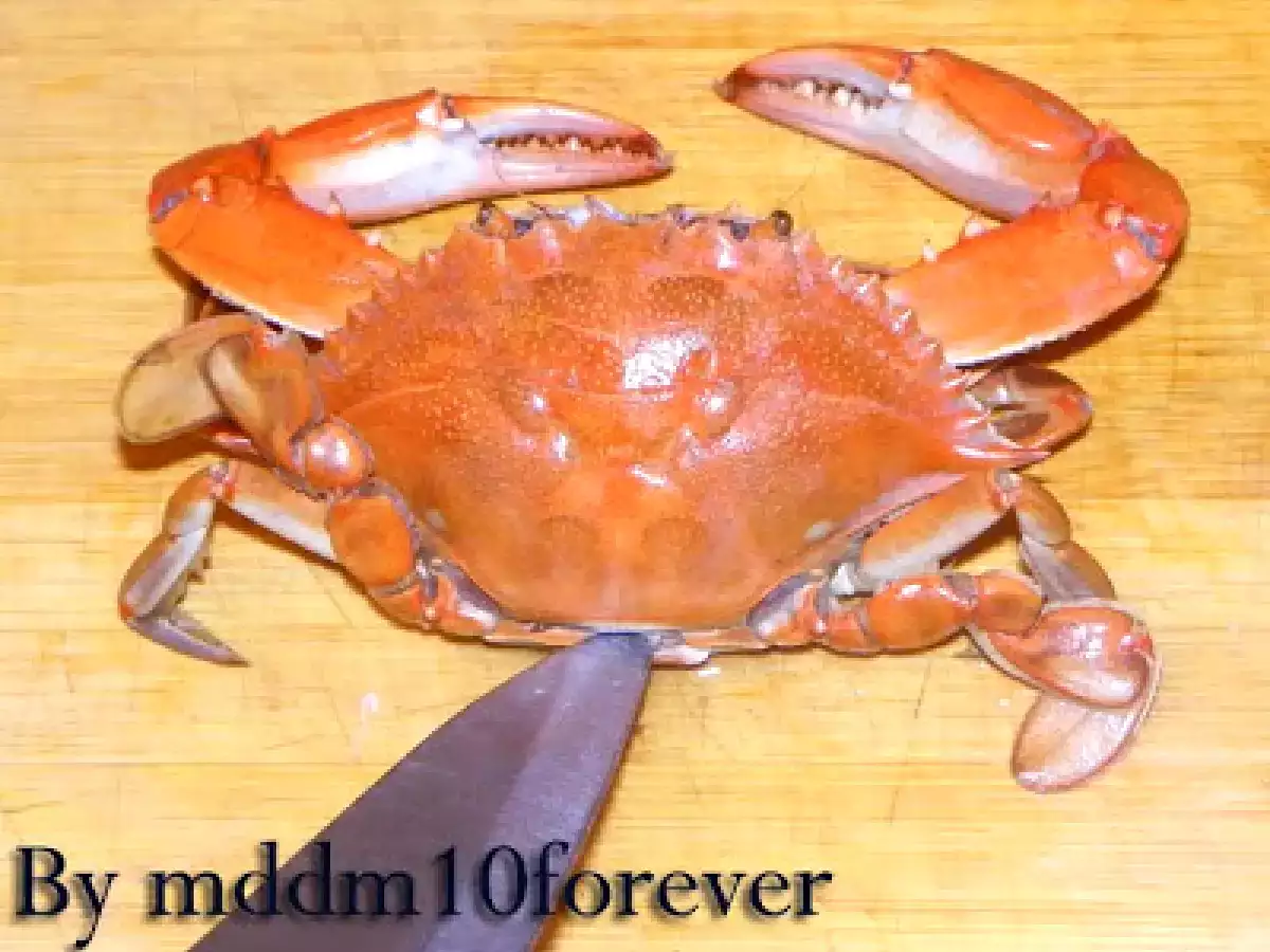 COME OTTENERE LA VERA POLPA DI GRANCHIO - foto 7