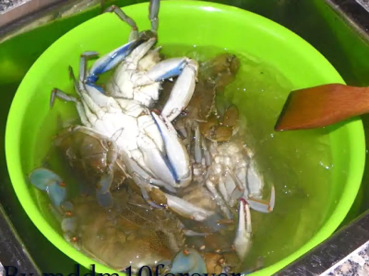 COME OTTENERE LA VERA POLPA DI GRANCHIO - foto 13