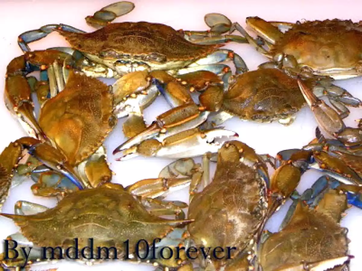 COME OTTENERE LA VERA POLPA DI GRANCHIO - foto 14