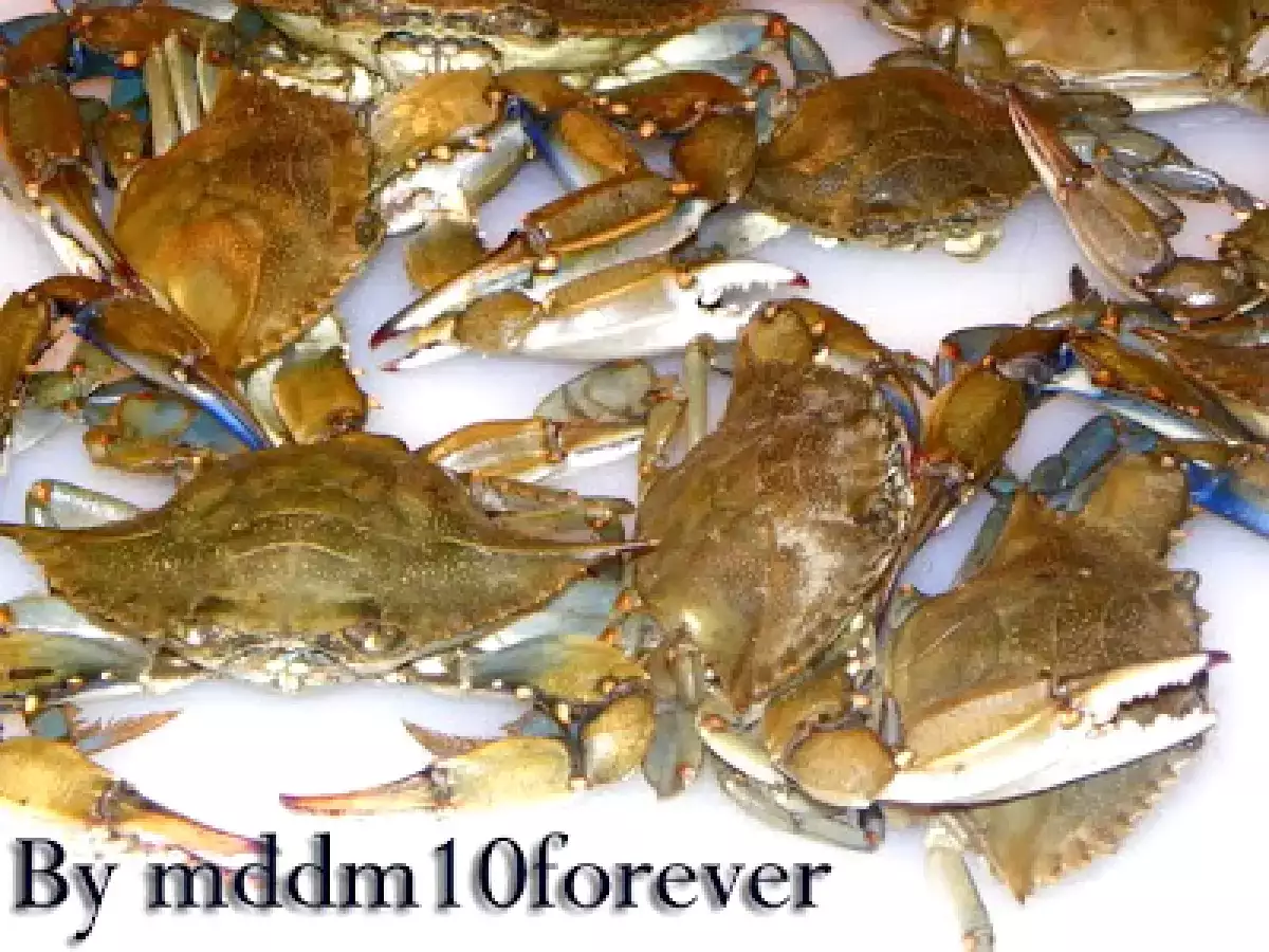 COME OTTENERE LA VERA POLPA DI GRANCHIO - foto 15