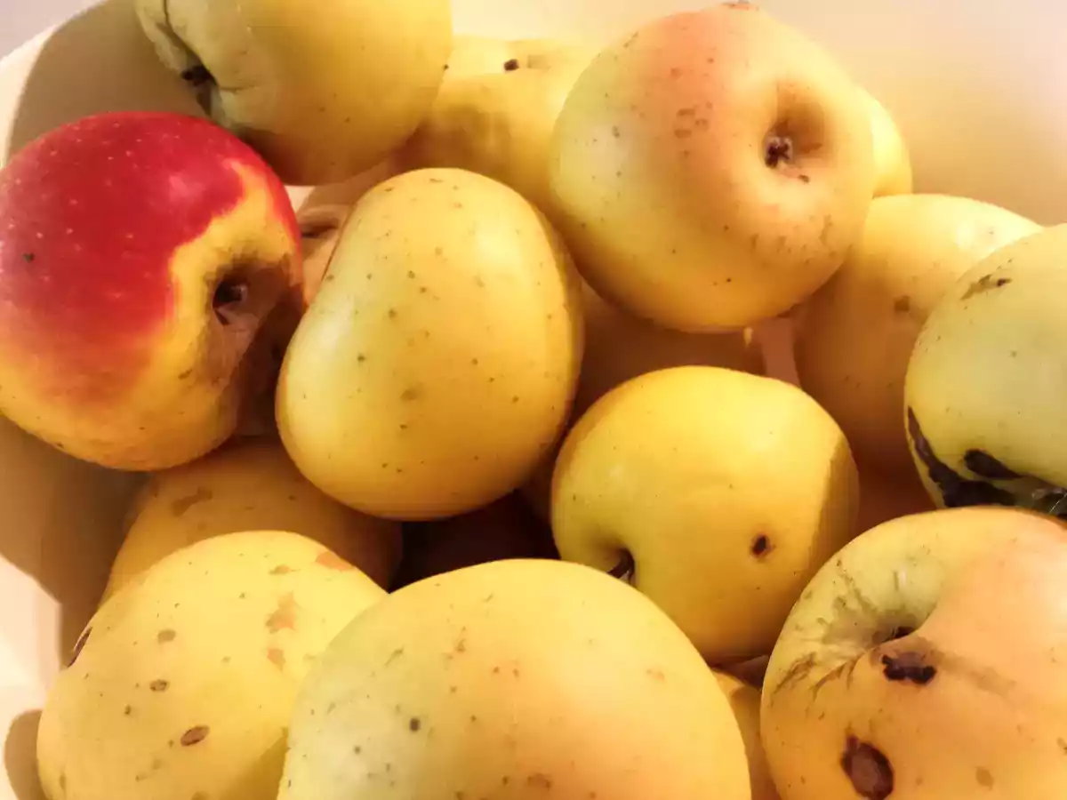 Confettura di mele e cannella senza zucchero - foto 2