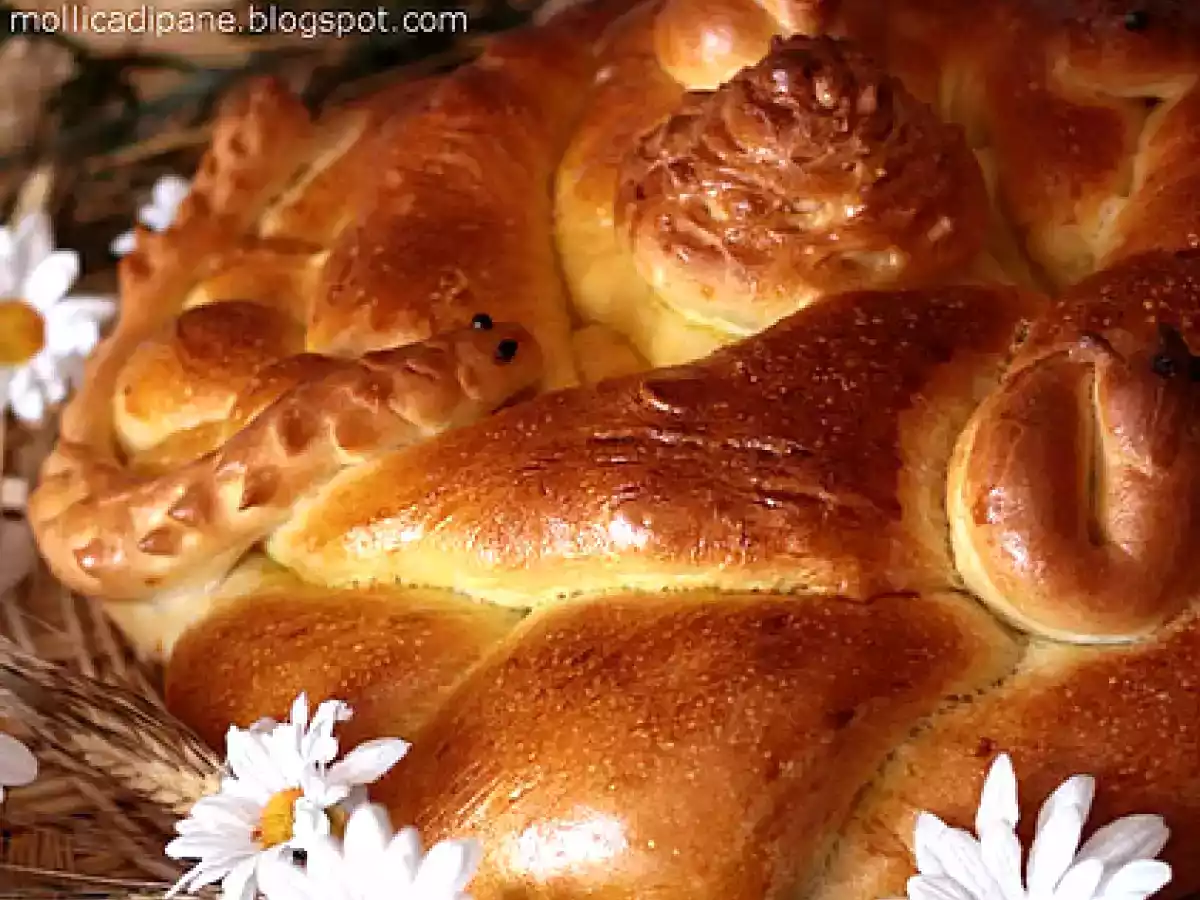 Cugliaccio: lievitato arberesh - foto 4