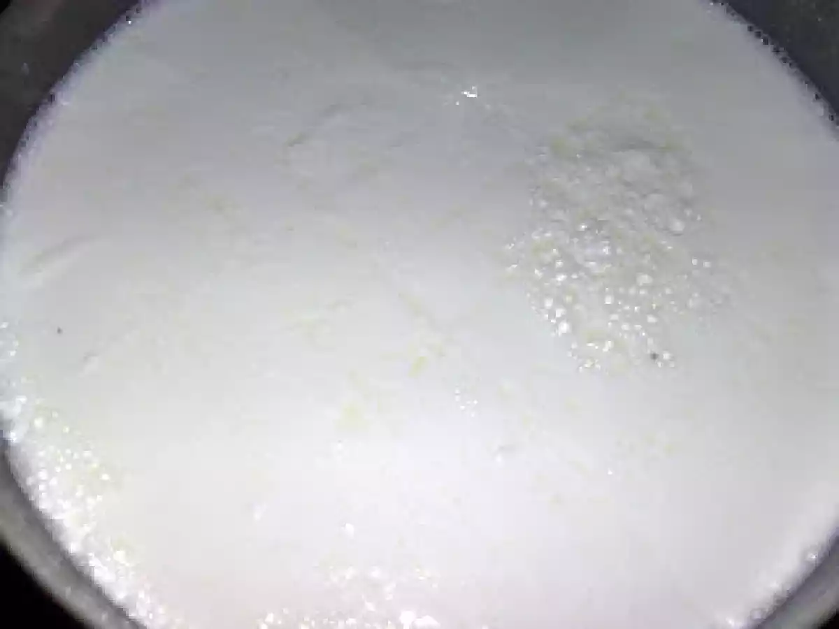 Formaggio fatto in casa (2) foto passo-passo -Primosale- - foto 9