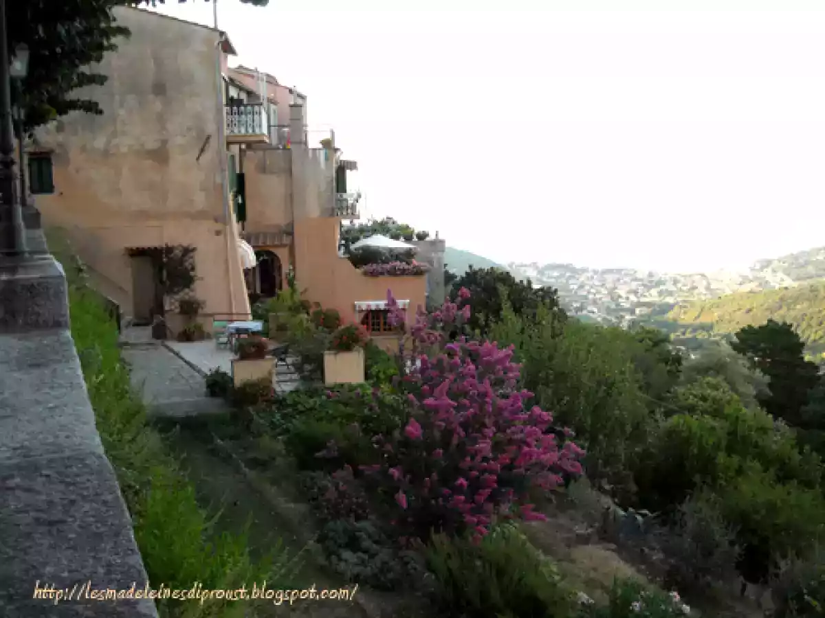L'Isola d'Elba e Gli spiedini di alici. - foto 6