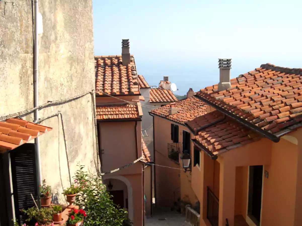 L'Isola d'Elba e Gli spiedini di alici. - foto 8