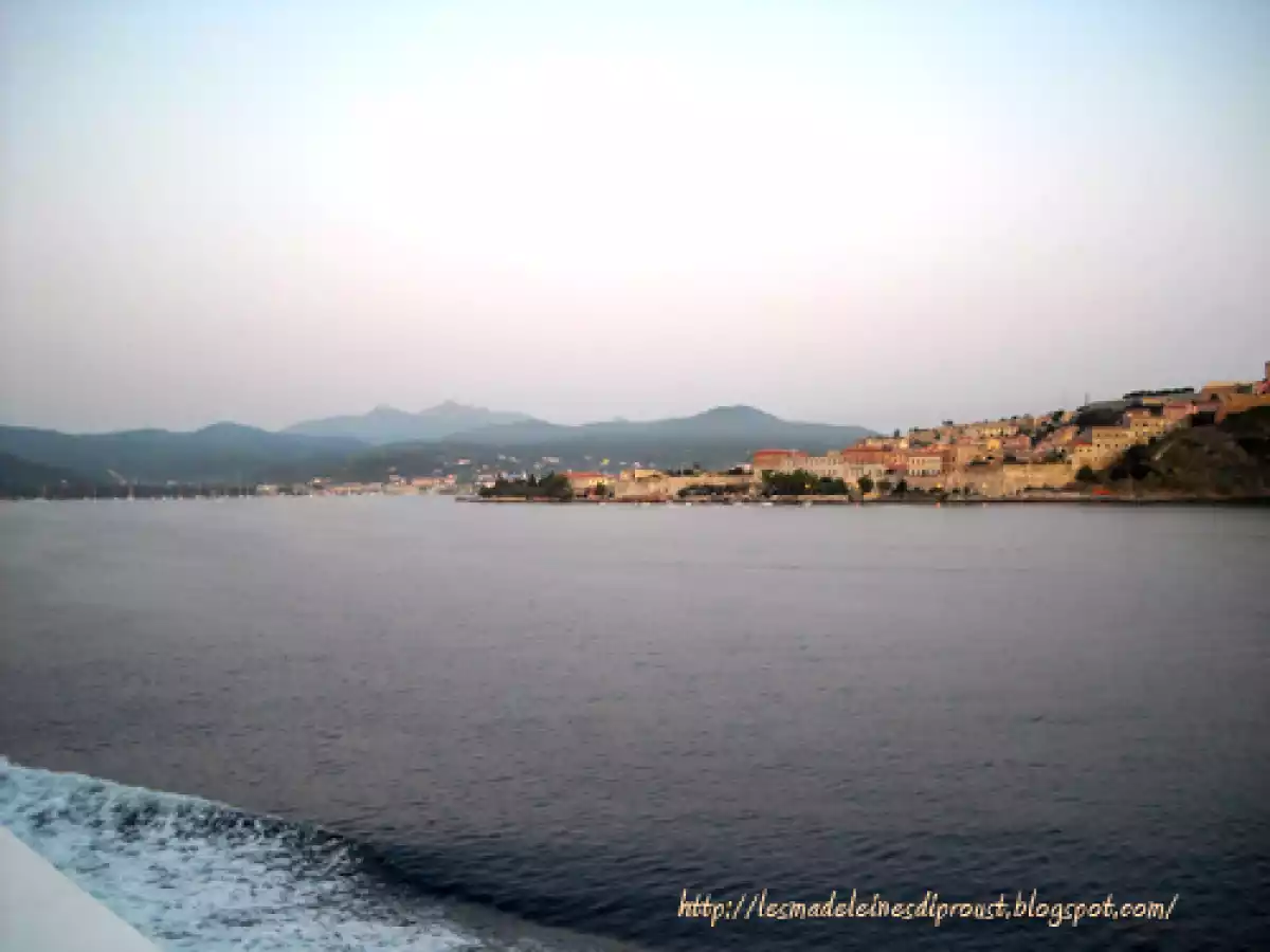 L'Isola d'Elba e Gli spiedini di alici. - foto 9