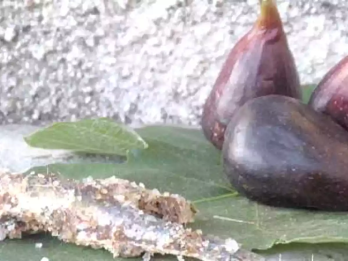 La bruschetta del pescatore