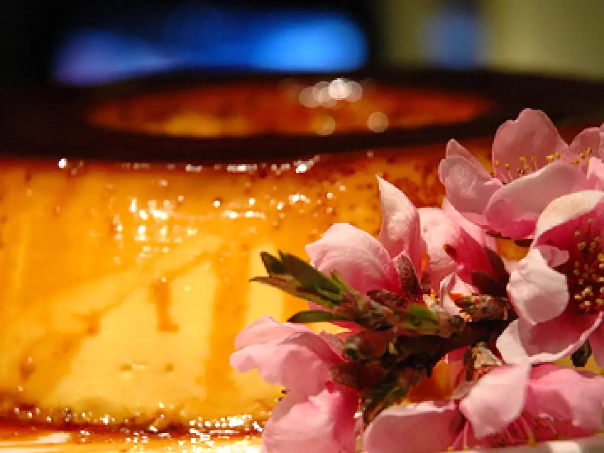 LATTE PORTOGHESE - foto 2