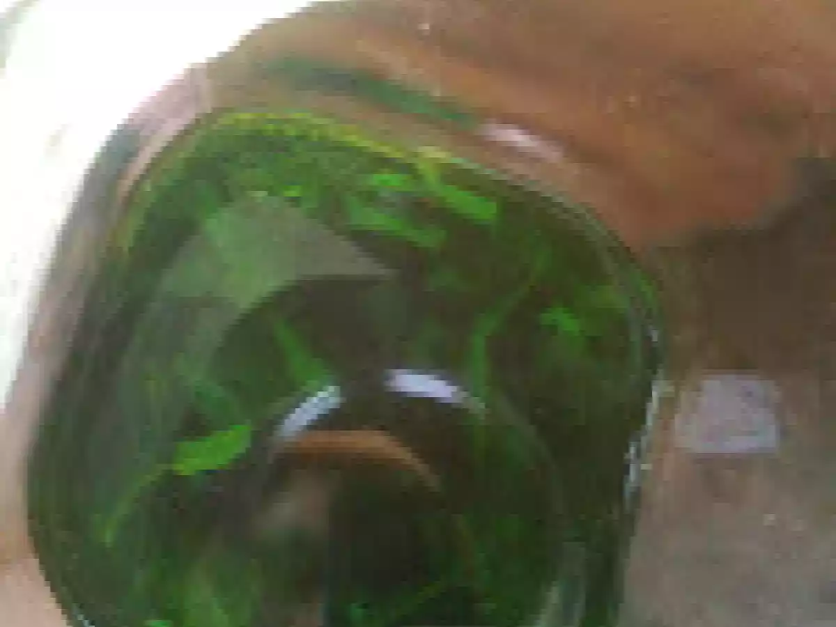 LIQUORE ALL'ORTICA - foto 3