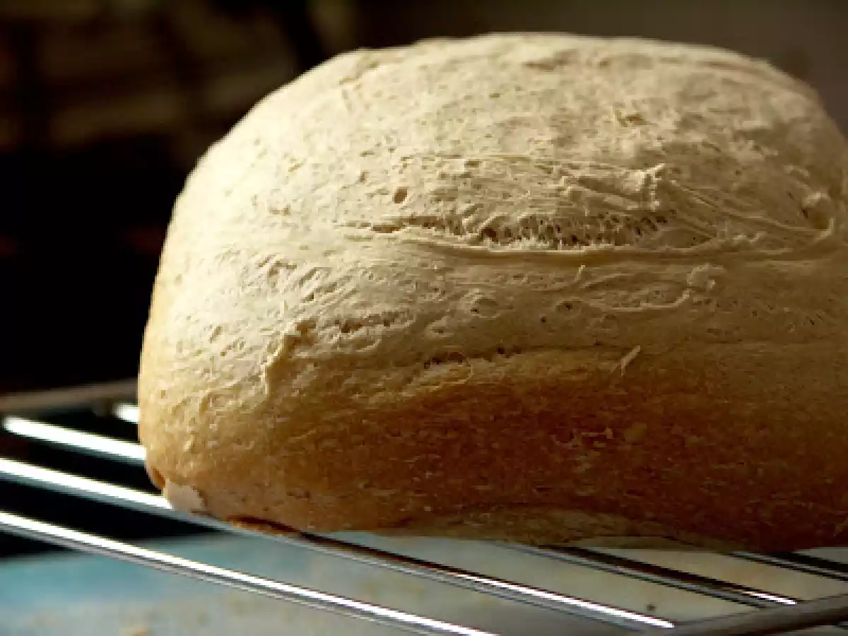 Macchina del pane: pane casereccio a lunga durata con crosta bianca croccante - foto 2