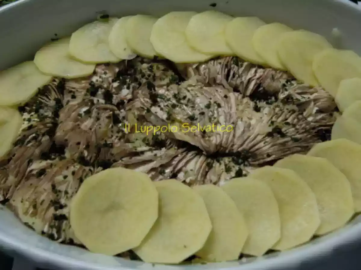 Mazze di tamburo (macrolepiota procera o bubbola maggiore)? quattro modi per cucinarle