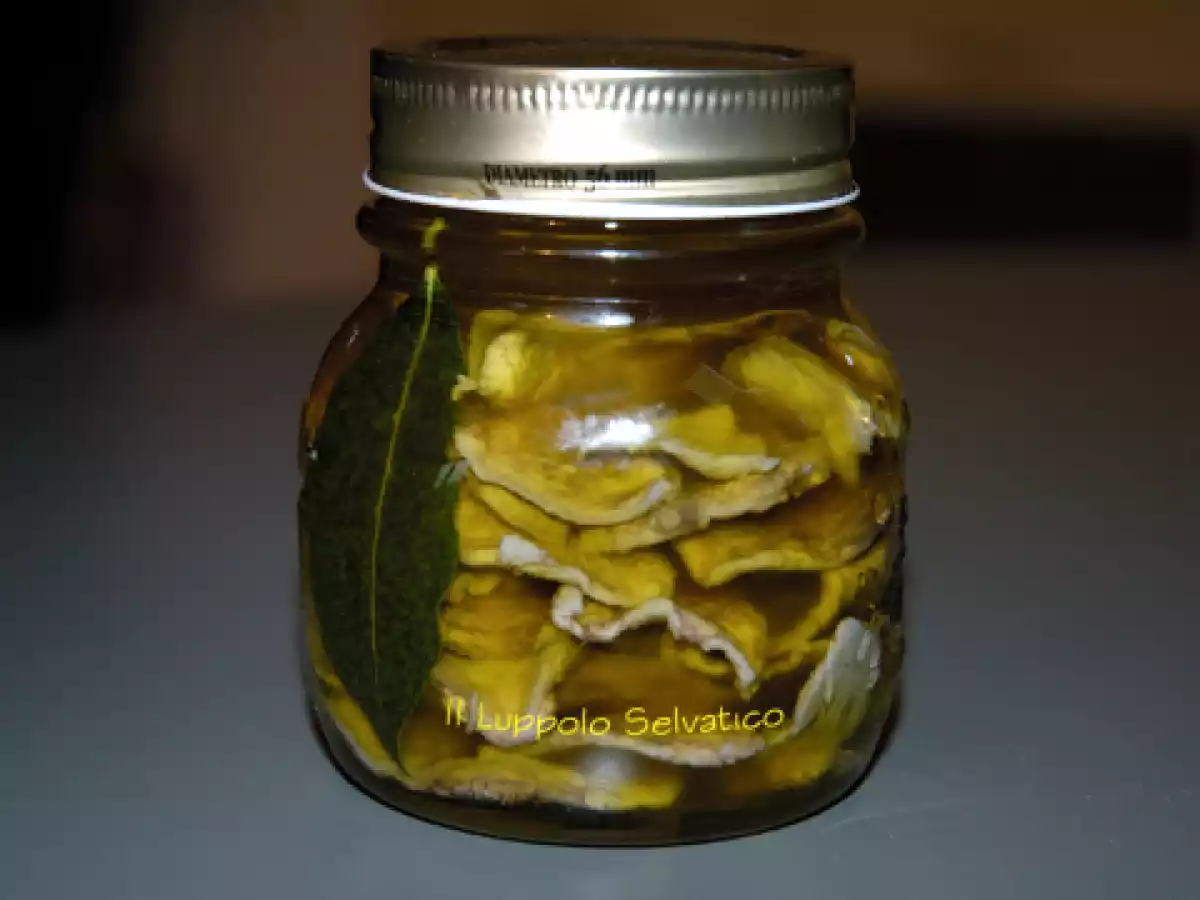 Mazze di tamburo (macrolepiota procera o bubbola maggiore)? quattro modi per cucinarle - foto 4