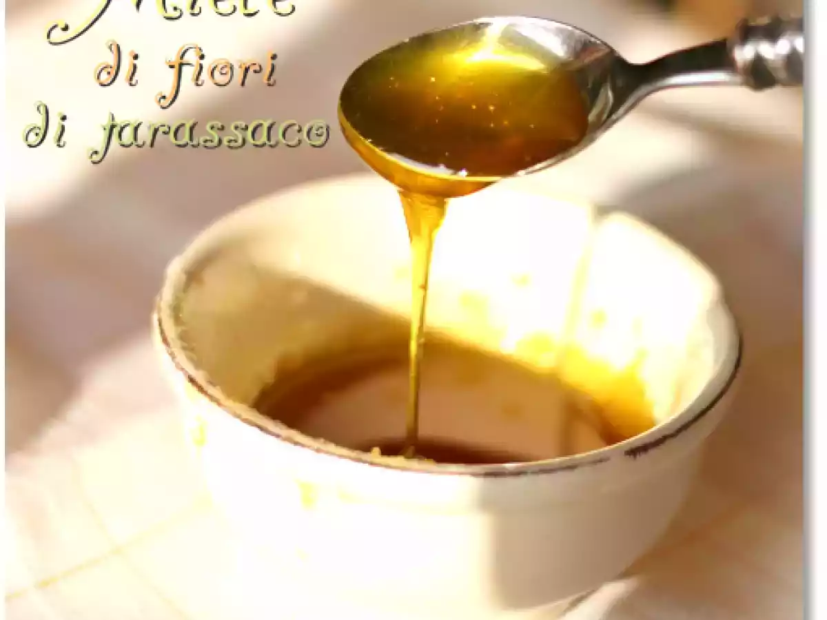 ?Miele? di fiori di tarassaco