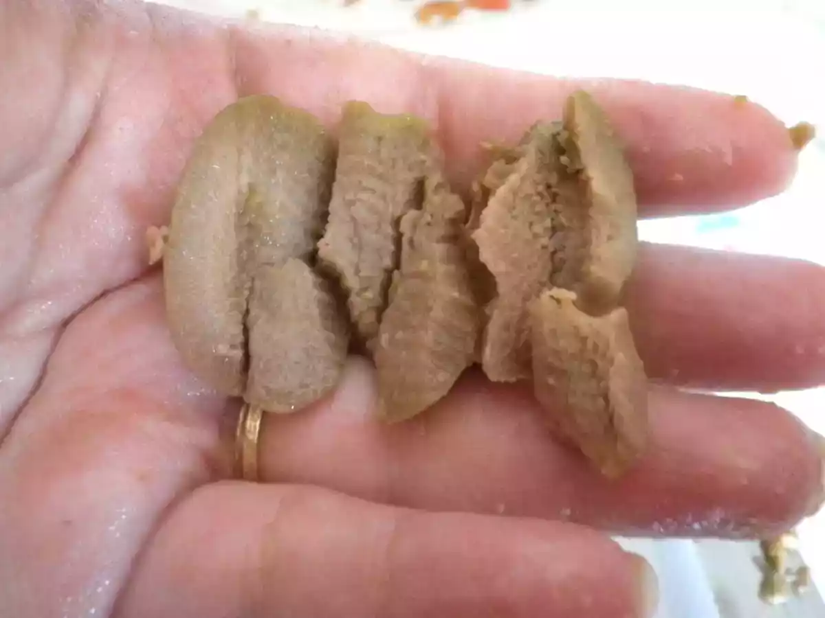 Olive di Cerignola farcite con salsiccia panate e fritte - foto 4