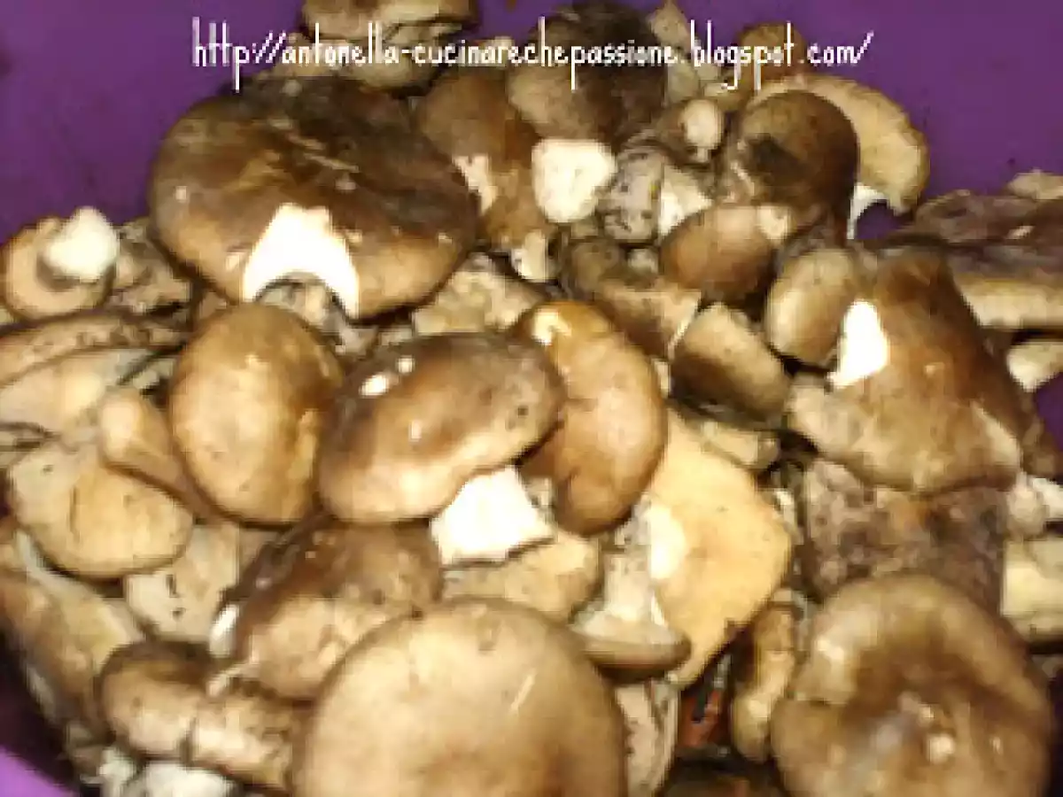 Ordinali dell'Amiata sott'olio