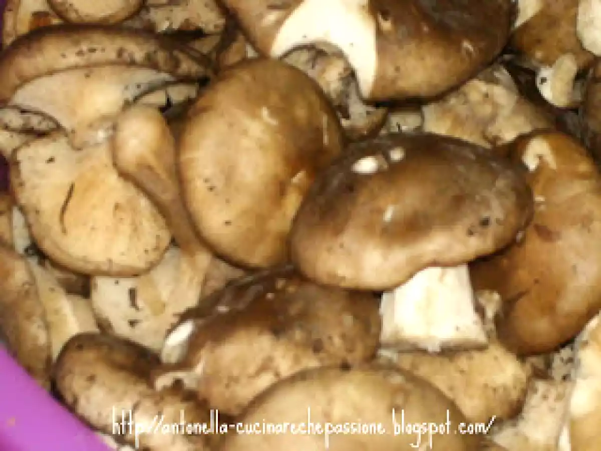 Ordinali dell'Amiata sott'olio - foto 2