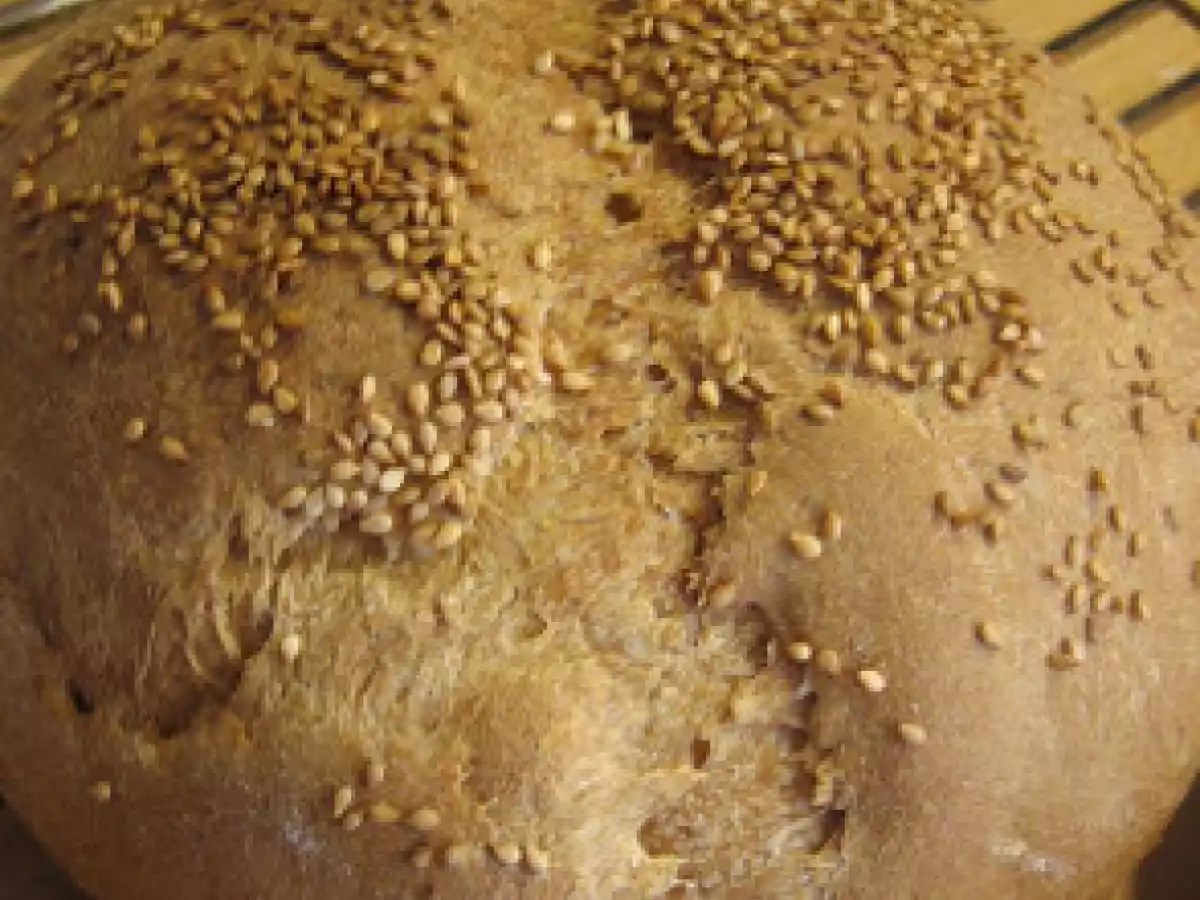 PANE COMUNE NELLA MACCHINA DEL PANE CON LIEVITO MADRE - foto 2