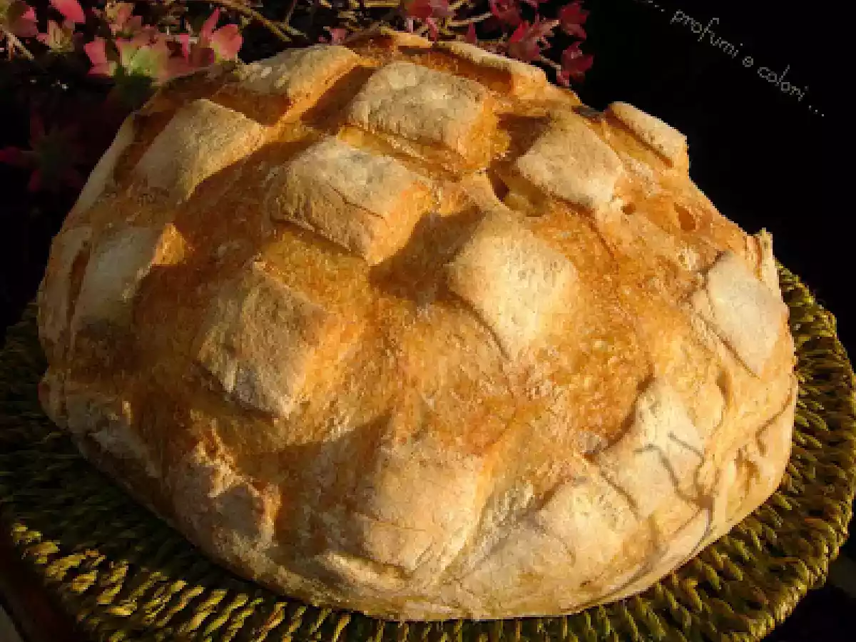 Pane Polka pane francese - foto 3