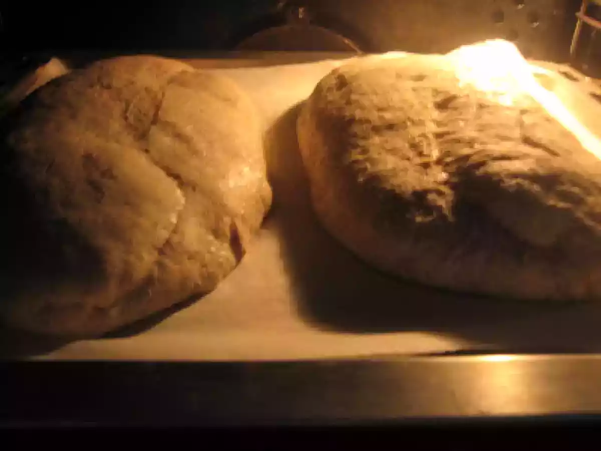 PANE SEMINTEGRALE CON LA MACCHINA DEL PANE E IL LIEVITO MADRE