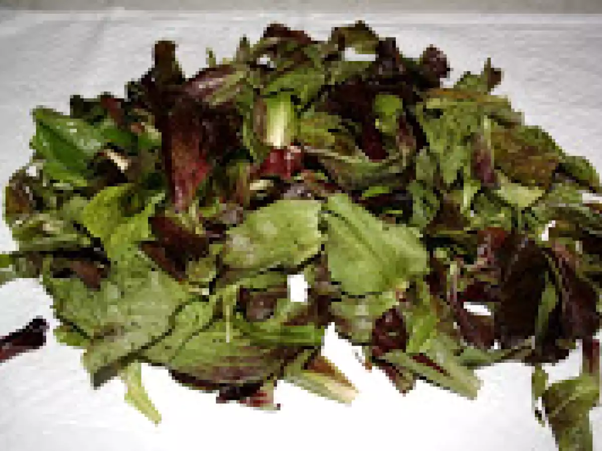 PENNE AL PESTO DI RADICCHIO VERDE - foto 3