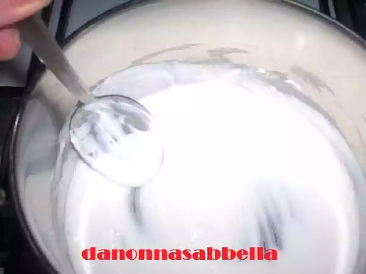 STRACCHINO FATTO IN CASA - foto 2