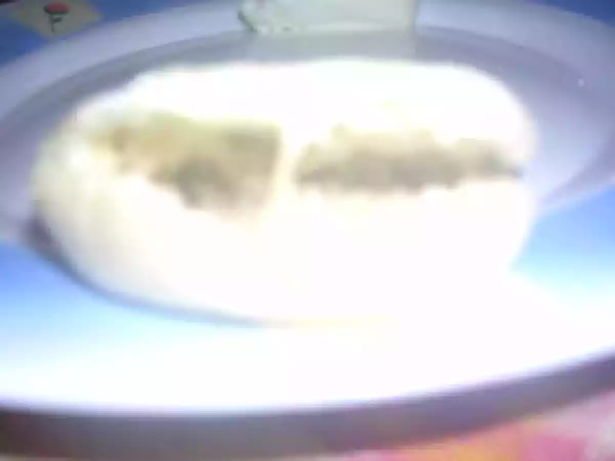 Tigelle ricetta originale - foto 3