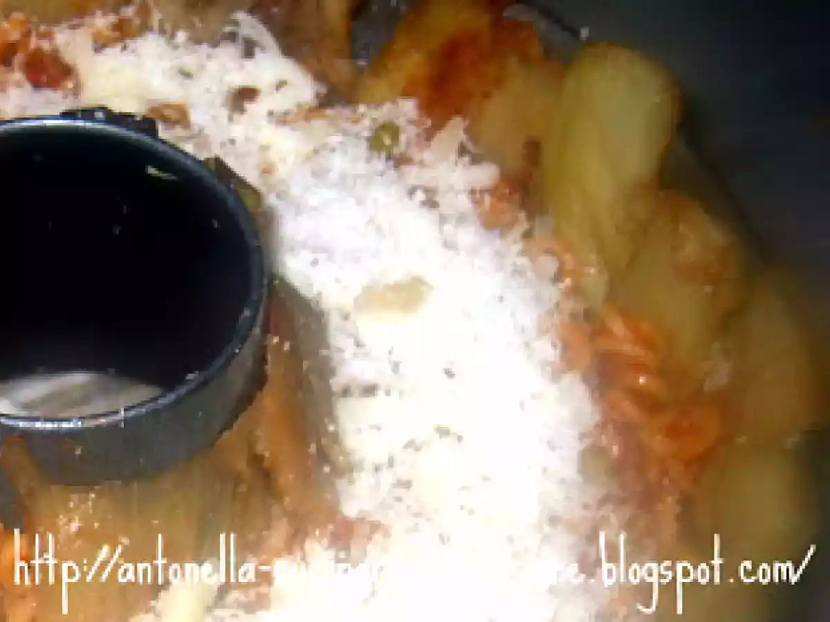 Timballo del Gattopardo di Scarlett - foto 7