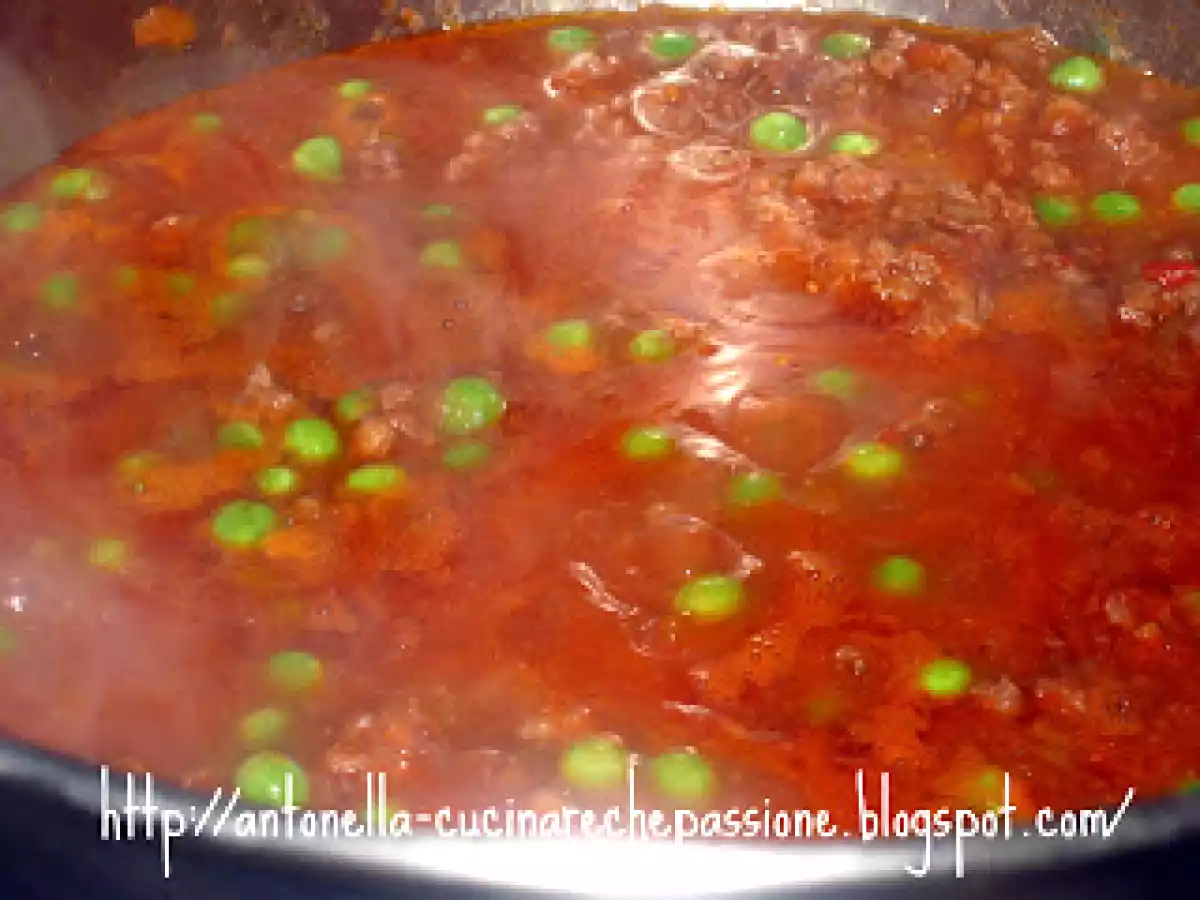 Timballo del Gattopardo di Scarlett - foto 9