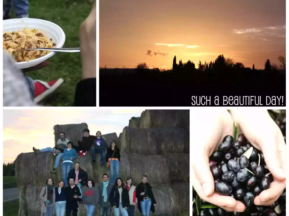 Torta di grano saraceno al cioccolato - foto 5