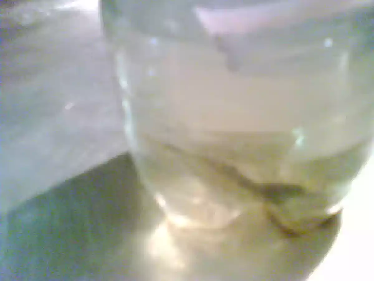 TRAPPOLA PER CARIDINA, come catturare una caridina senza fargli male e senza retino