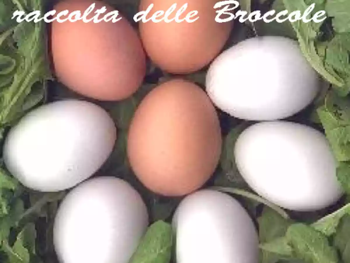 UNA CIAMBELLA SALATA AGLI ALBUMI PER LE BROCOLE E ALTRI PASTICCIAMENTI - foto 5