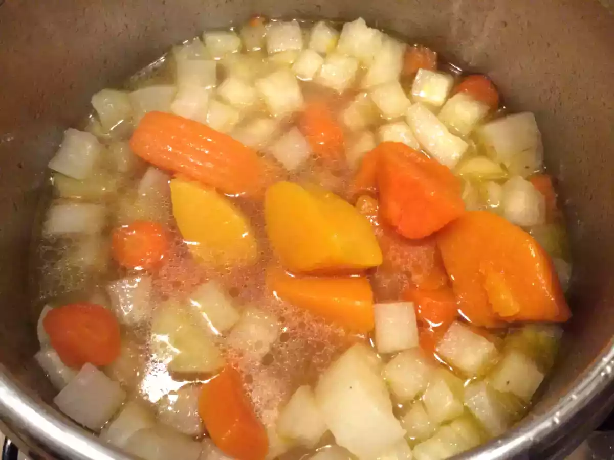 Vellutata di daikon, carote, patate e zucca con crostini croccanti e scaglie di grana - foto 4