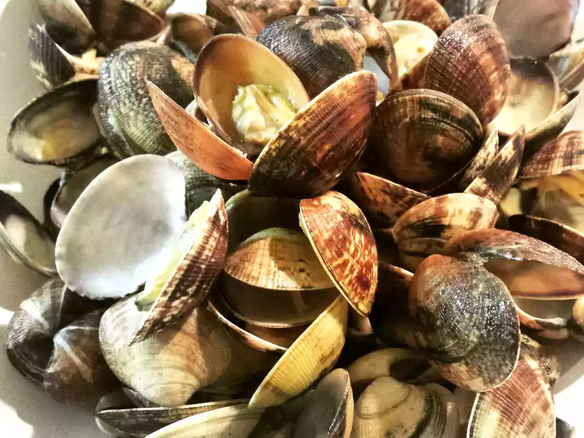 Zuppa di ceci e vongole al profumo di rosmarino - foto 5